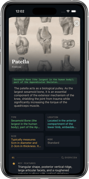 Bone Identifier App Interface